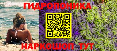 трава Апшеронск