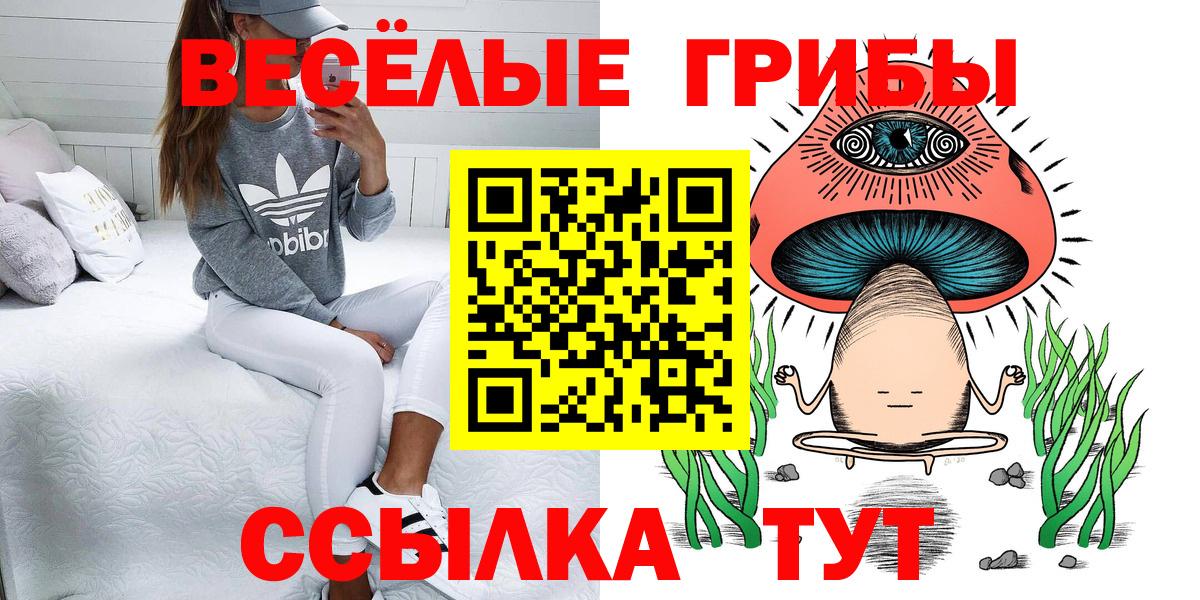 Псилоцибиновые грибы прущие грибы Волгоград