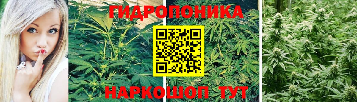 Канабис ГИДРОПОН Волгоград